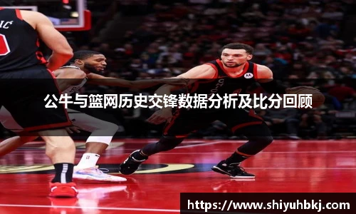 公牛与篮网历史交锋数据分析及比分回顾